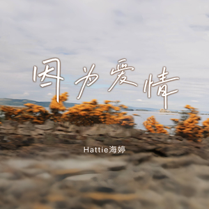 花季传媒午夜日韩版一级毛片
